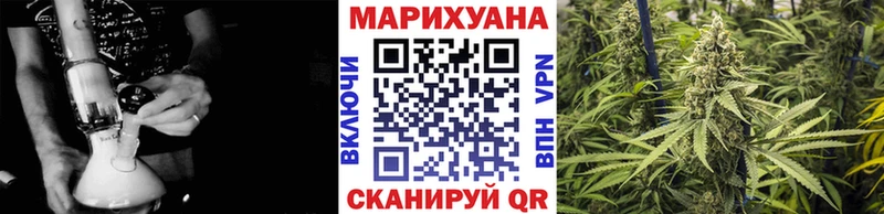 Бошки Шишки семена  Бакал 